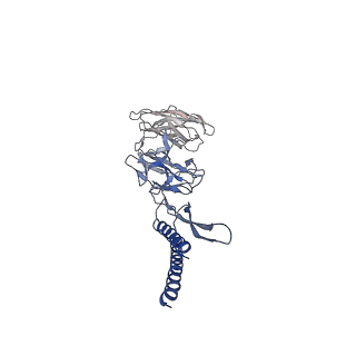 31008_7e82_DE_v1-3
Cryo-EM structure of the flagellar rod with partial hook from Salmonella