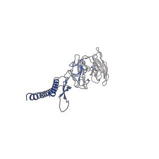 31008_7e82_DF_v1-2
Cryo-EM structure of the flagellar rod with partial hook from Salmonella