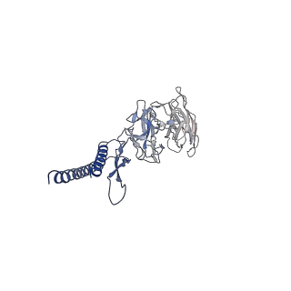 31008_7e82_DF_v1-3
Cryo-EM structure of the flagellar rod with partial hook from Salmonella