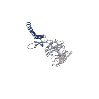 31008_7e82_DG_v1-3
Cryo-EM structure of the flagellar rod with partial hook from Salmonella