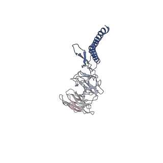 31008_7e82_DH_v1-3
Cryo-EM structure of the flagellar rod with partial hook from Salmonella