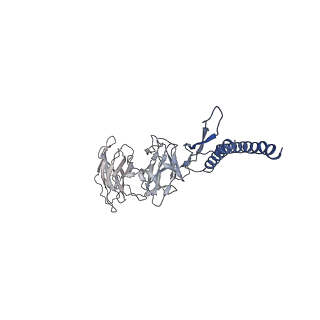 31008_7e82_DI_v1-2
Cryo-EM structure of the flagellar rod with partial hook from Salmonella