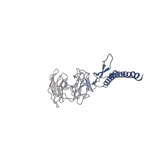 31008_7e82_DI_v1-3
Cryo-EM structure of the flagellar rod with partial hook from Salmonella