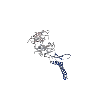 31008_7e82_DJ_v1-2
Cryo-EM structure of the flagellar rod with partial hook from Salmonella