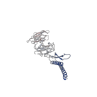 31008_7e82_DJ_v1-3
Cryo-EM structure of the flagellar rod with partial hook from Salmonella