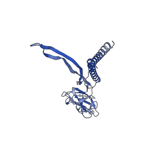 31008_7e82_E_v1-3
Cryo-EM structure of the flagellar rod with partial hook from Salmonella