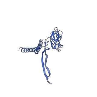 31008_7e82_F_v1-3
Cryo-EM structure of the flagellar rod with partial hook from Salmonella