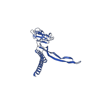 31008_7e82_G_v1-2
Cryo-EM structure of the flagellar rod with partial hook from Salmonella
