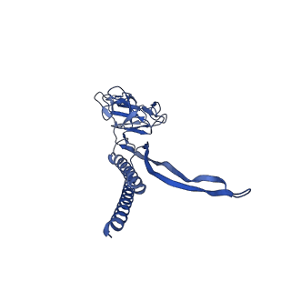 31008_7e82_G_v1-3
Cryo-EM structure of the flagellar rod with partial hook from Salmonella