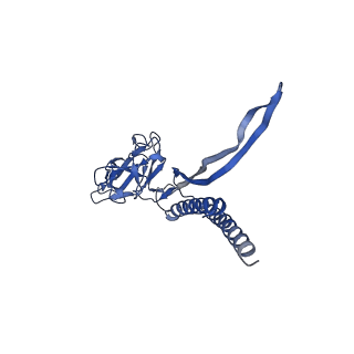 31008_7e82_H_v1-2
Cryo-EM structure of the flagellar rod with partial hook from Salmonella