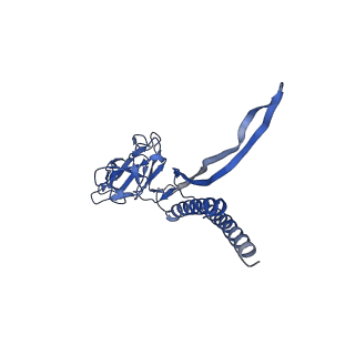 31008_7e82_H_v1-3
Cryo-EM structure of the flagellar rod with partial hook from Salmonella