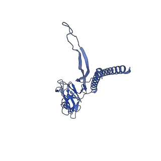 31008_7e82_I_v1-3
Cryo-EM structure of the flagellar rod with partial hook from Salmonella