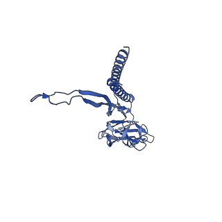 31008_7e82_J_v1-2
Cryo-EM structure of the flagellar rod with partial hook from Salmonella