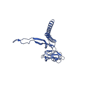 31008_7e82_J_v1-3
Cryo-EM structure of the flagellar rod with partial hook from Salmonella