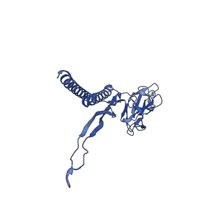 31008_7e82_K_v1-2
Cryo-EM structure of the flagellar rod with partial hook from Salmonella