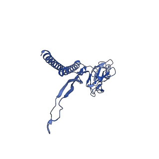 31008_7e82_K_v1-3
Cryo-EM structure of the flagellar rod with partial hook from Salmonella