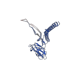 31008_7e82_O_v1-3
Cryo-EM structure of the flagellar rod with partial hook from Salmonella