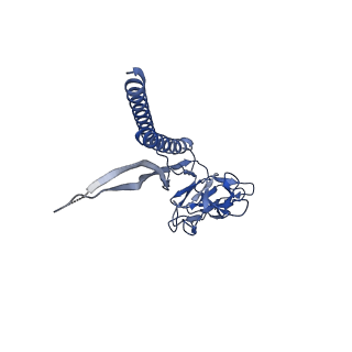 31008_7e82_P_v1-2
Cryo-EM structure of the flagellar rod with partial hook from Salmonella
