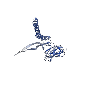 31008_7e82_P_v1-3
Cryo-EM structure of the flagellar rod with partial hook from Salmonella