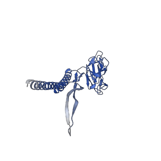31008_7e82_Q_v1-2
Cryo-EM structure of the flagellar rod with partial hook from Salmonella