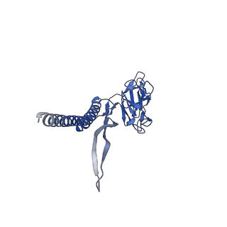 31008_7e82_Q_v1-3
Cryo-EM structure of the flagellar rod with partial hook from Salmonella