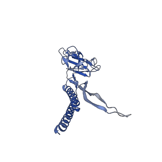 31008_7e82_R_v1-2
Cryo-EM structure of the flagellar rod with partial hook from Salmonella