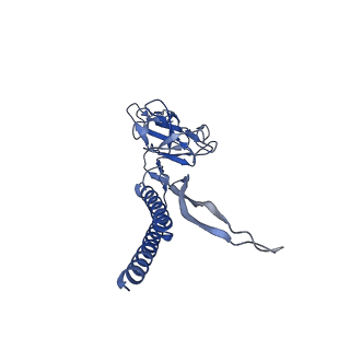 31008_7e82_R_v1-3
Cryo-EM structure of the flagellar rod with partial hook from Salmonella