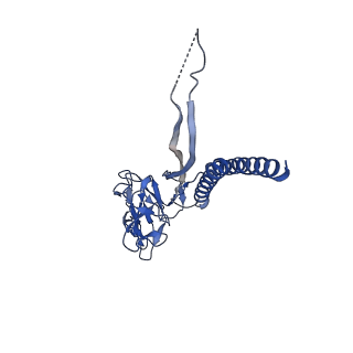 31008_7e82_T_v1-3
Cryo-EM structure of the flagellar rod with partial hook from Salmonella