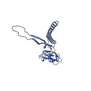 31008_7e82_U_v1-2
Cryo-EM structure of the flagellar rod with partial hook from Salmonella