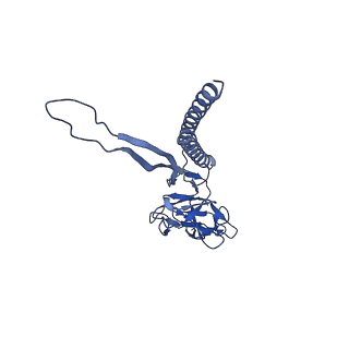 31008_7e82_U_v1-3
Cryo-EM structure of the flagellar rod with partial hook from Salmonella