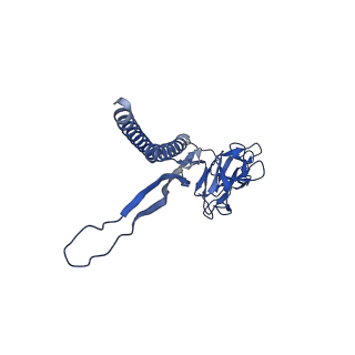 31008_7e82_V_v1-2
Cryo-EM structure of the flagellar rod with partial hook from Salmonella
