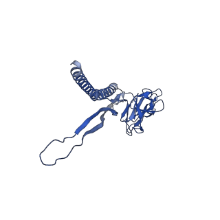 31008_7e82_V_v1-3
Cryo-EM structure of the flagellar rod with partial hook from Salmonella