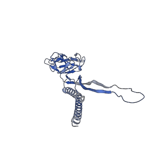 31008_7e82_X_v1-2
Cryo-EM structure of the flagellar rod with partial hook from Salmonella
