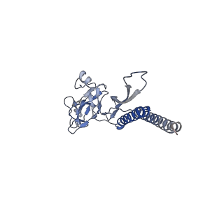 31008_7e82_b_v1-2
Cryo-EM structure of the flagellar rod with partial hook from Salmonella