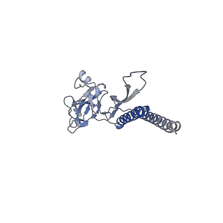 31008_7e82_b_v1-3
Cryo-EM structure of the flagellar rod with partial hook from Salmonella