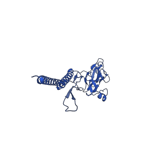 31008_7e82_d_v1-2
Cryo-EM structure of the flagellar rod with partial hook from Salmonella