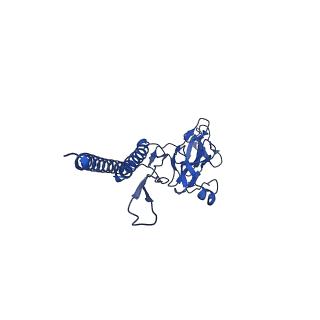 31008_7e82_d_v1-3
Cryo-EM structure of the flagellar rod with partial hook from Salmonella