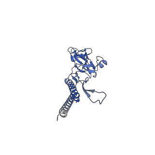 31008_7e82_e_v1-2
Cryo-EM structure of the flagellar rod with partial hook from Salmonella