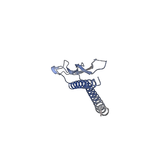 31008_7e82_g_v1-2
Cryo-EM structure of the flagellar rod with partial hook from Salmonella