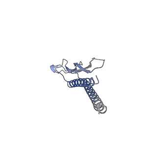 31008_7e82_g_v1-3
Cryo-EM structure of the flagellar rod with partial hook from Salmonella