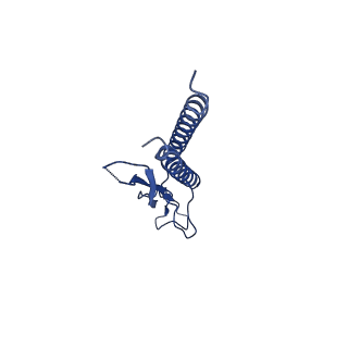 31008_7e82_h_v1-2
Cryo-EM structure of the flagellar rod with partial hook from Salmonella