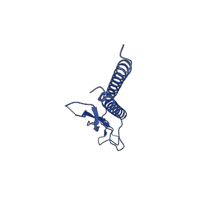 31008_7e82_h_v1-3
Cryo-EM structure of the flagellar rod with partial hook from Salmonella