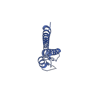 31008_7e82_k_v1-2
Cryo-EM structure of the flagellar rod with partial hook from Salmonella