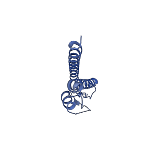 31008_7e82_k_v1-3
Cryo-EM structure of the flagellar rod with partial hook from Salmonella