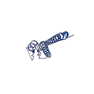 31008_7e82_m_v1-3
Cryo-EM structure of the flagellar rod with partial hook from Salmonella