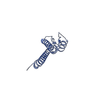 31008_7e82_o_v1-2
Cryo-EM structure of the flagellar rod with partial hook from Salmonella
