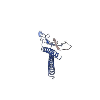 31008_7e82_p_v1-2
Cryo-EM structure of the flagellar rod with partial hook from Salmonella