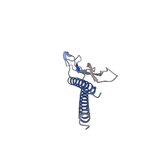 31008_7e82_p_v1-3
Cryo-EM structure of the flagellar rod with partial hook from Salmonella