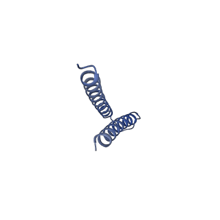 31008_7e82_q_v1-3
Cryo-EM structure of the flagellar rod with partial hook from Salmonella