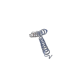 31008_7e82_r_v1-2
Cryo-EM structure of the flagellar rod with partial hook from Salmonella